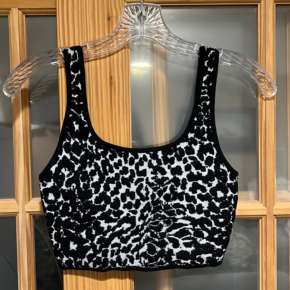 Aritzia Crop Top